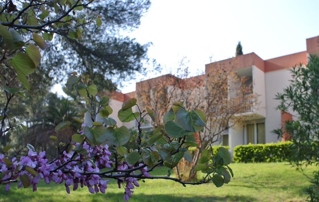 Le Domaine Des Oliviers Apartamento Saint-Cyr-sur-Mer Exterior foto